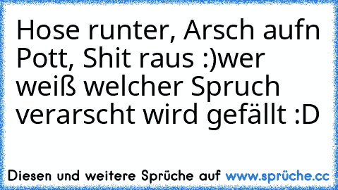 Hose runter, Arsch aufn Pott, Shit raus :)
wer weiß welcher Spruch verarscht wird gefällt :D