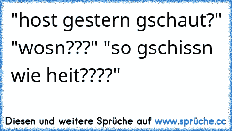 "host gestern gschaut?" "wosn???" "so gschissn wie heit????"