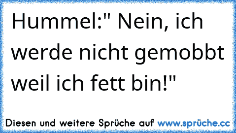 Hummel:" Nein, ich werde nicht gemobbt weil ich fett bin!"