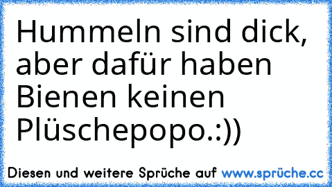 Hummeln sind dick, aber dafür haben Bienen keinen Plüschepopo.:))