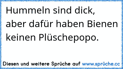 Hummeln sind dick, aber dafür haben Bienen keinen Plüschepopo. ♥