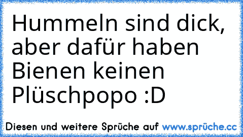 Hummeln sind dick, aber dafür haben Bienen keinen Plüschpopo :D