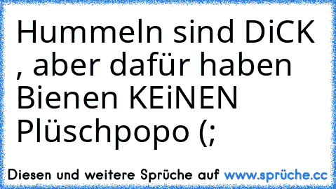 Hummeln sind DiCK , aber dafür haben Bienen KEiNEN Plüschpopo (;