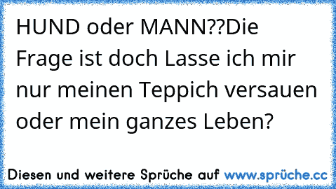 HUND oder MANN??
Die Frage ist doch Lasse ich mir nur meinen Teppich versauen oder mein ganzes Leben?