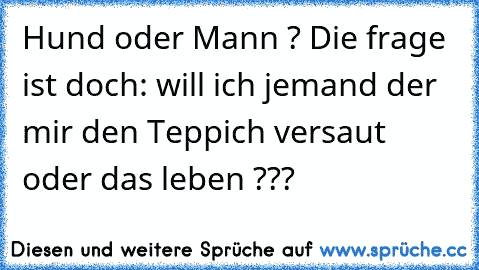 Hund oder Mann ? Die frage ist doch: will ich jemand der mir den Teppich versaut oder das leben ???