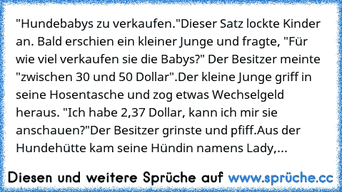 "Hundebabys zu verkaufen."
Dieser Satz lockte Kinder an. Bald erschien ein kleiner Junge und fragte, "Für wie viel verkaufen sie die Babys?" Der Besitzer meinte "zwischen 30 und 50 Dollar".
Der kleine Junge griff in seine Hosentasche und zog etwas Wechselgeld heraus. "Ich habe 2,37 Dollar, kann ich mir sie anschauen?"
Der Besitzer grinste und pfiff.
Aus der Hundehütte kam seine Hündin namens La...