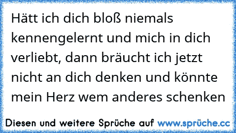 Hätt ich dich bloß niemals kennengelernt und mich in dich verliebt, dann bräucht ich jetzt nicht an dich denken und könnte mein Herz wem anderes schenken 