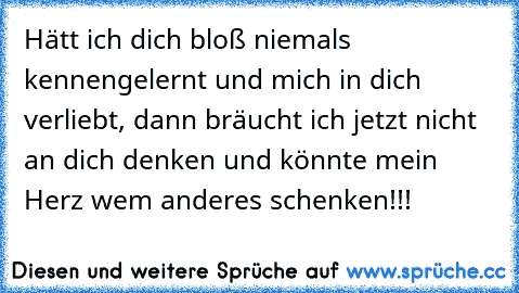 Hätt ich dich bloß niemals kennengelernt und mich in dich verliebt, dann bräucht ich jetzt nicht an dich denken und könnte mein Herz wem anderes schenken!!!