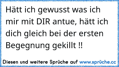 Hätt ich gewusst was ich mir mit DIR antue, hätt ich dich gleich bei der ersten Begegnung gekillt !!