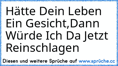 Hätte Dein Leben Ein Gesicht,
Dann Würde Ich Da Jetzt Reinschlagen