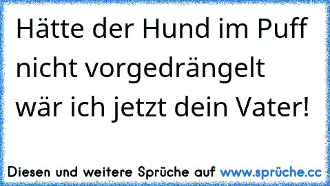 Hätte der Hund im Puff nicht vorgedrängelt wär ich jetzt dein Vater!