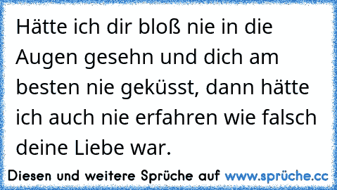 Hätte ich dir bloß nie in die Augen gesehn und dich am besten nie geküsst, dann hätte ich auch nie erfahren wie falsch deine Liebe war.