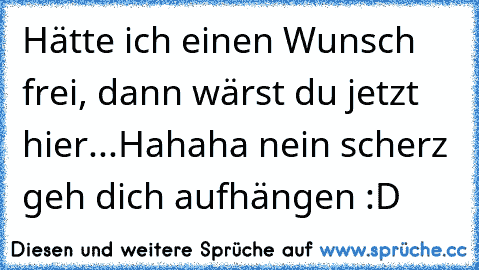 Hätte ich einen Wunsch frei, dann wärst du jetzt hier.♥..Hahaha nein scherz geh dich aufhängen :D