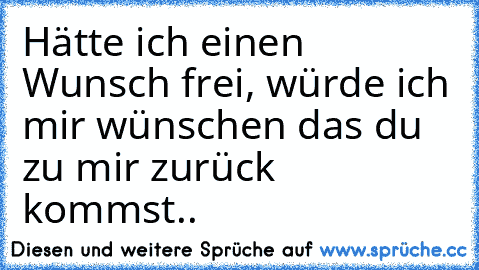 Hätte ich einen Wunsch frei, würde ich mir wünschen das du zu mir zurück kommst.. ♥