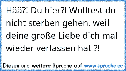 Hää?! Du hier?! Wolltest du nicht sterben gehen, weil deine große Liebe dich mal wieder verlassen hat ?!