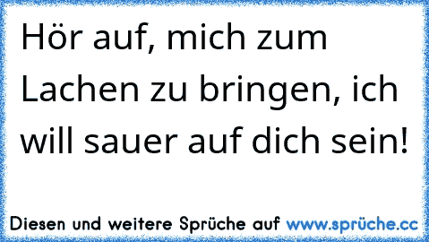 Hör auf, mich zum Lachen zu bringen, ich will sauer auf dich sein!