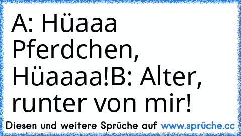 A: Hüaaa Pferdchen, Hüaaaa!
B: Alter, runter von mir!