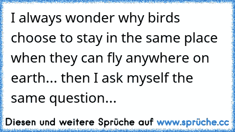 I always wonder why birds choose to stay in the same place when they can fly anywhere on earth... then I ask myself the same question... ♥
