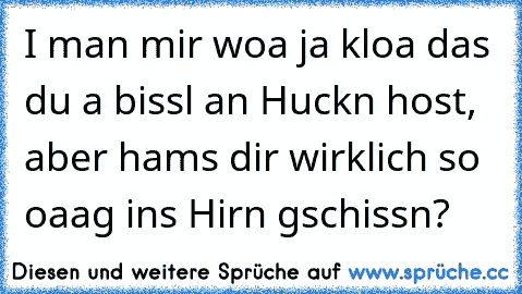 I man mir woa ja kloa das du a bissl an Huckn host, aber hams dir wirklich so oaag ins Hirn gschissn?