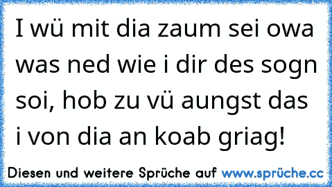 I wü mit dia zaum sei owa was ned wie i dir des sogn soi, hob zu vü aungst das i von dia an koab griag! ♥ ♥ ♥