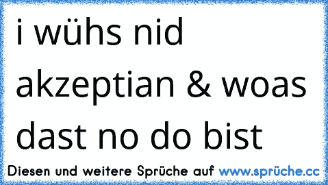 i wühs nid akzeptian & woas dast no do bist 