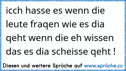 icch hasse es wenn die leute fraqen wie es dia qeht wenn die eh wissen das es dia scheisse qeht !