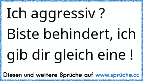 Ich aggressiv ? Biste behindert, ich gib dir gleich eine !