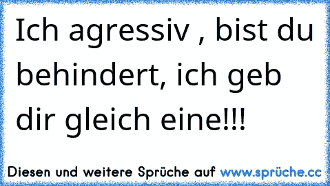 Ich agressiv , bist du behindert, ich geb dir gleich eine!!!