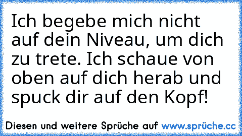 Ich begebe mich nicht auf dein Niveau, um dich zu trete. Ich schaue von oben auf dich herab und spuck dir auf den Kopf!