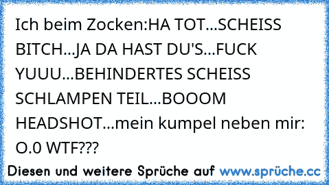 Ich beim Zocken:
HA TOT...
SCHEISS BITCH...
JA DA HAST DU'S...
FUCK YUUU...
BEHINDERTES SCHEISS SCHLAMPEN TEIL...
BOOOM HEADSHOT...
mein kumpel neben mir:
 O.0 WTF???