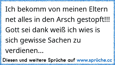 Ich bekomm von meinen Eltern net alles in den Arsch gestopft!!! Gott sei dank weiß ich wies is sich gewisse Sachen zu verdienen...