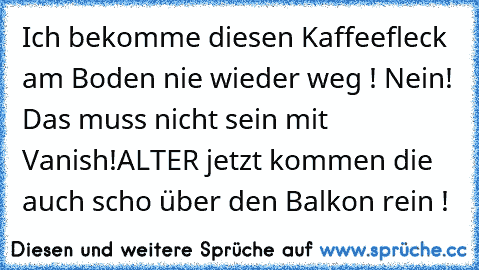 Ich bekomme diesen Kaffeefleck am Boden nie wieder weg ! 
Nein! Das muss nicht sein mit Vanish!
ALTER jetzt kommen die auch scho über den Balkon rein !