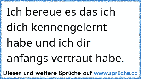 Ich bereue es das ich dich kennengelernt habe und ich dir anfangs vertraut habe.