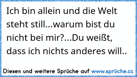 Ich bin allein und die Welt steht still...warum bist du nicht bei mir?...Du weißt, dass ich nichts anderes will..