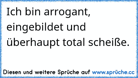 Ich bin arrogant, eingebildet und überhaupt total scheiße.