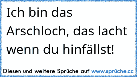 Ich bin das Arschloch, das lacht wenn du hinfällst!