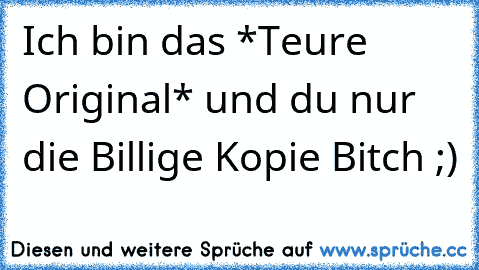 Ich bin das *Teure Original* und du nur die °Billige Kopie° Bitch ;)