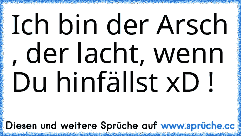 Ich bin der Arsch , der lacht, wenn Du hinfällst xD !