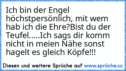 Ich bin der Engel höchstpersönlich, mit wem hab ich die Ehre?
Bist du der Teufel.....
Ich sags dir komm nicht in meien Nähe sonst hagelt es gleich Köpfe!!!