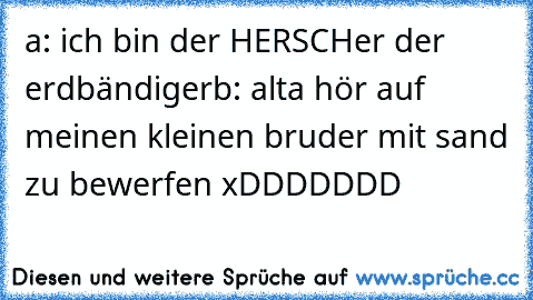 a: ich bin der HERSCHer der erdbändiger
b: alta hör auf meinen kleinen bruder mit sand zu bewerfen xDDDDDDD