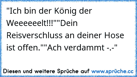 "Ich bin der König der Weeeeeelt!!!"
"Dein Reisverschluss an deiner Hose ist offen."
"Ach verdammt -.-"