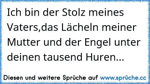 Ich bin der Stolz meines Vaters,das Lächeln meiner Mutter und der Engel unter deinen tausend Huren...