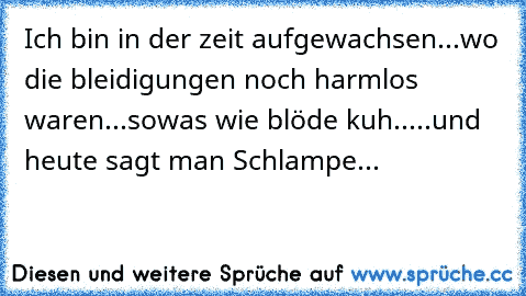 Ich bin in der zeit aufgewachsen...wo die bleidigungen noch harmlos waren...sowas wie blöde kuh.....und heute sagt man Schlampe...