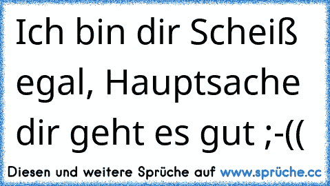 Ich bin dir Scheiß egal, Hauptsache dir geht es gut ;-((