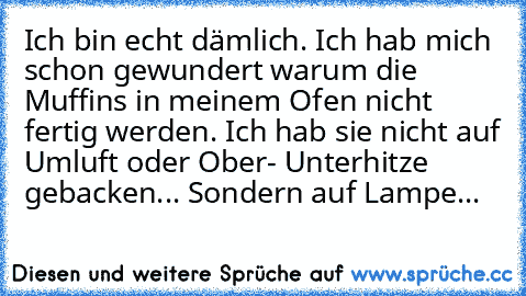 Ich bin echt dämlich. Ich hab mich schon gewundert warum die Muffins in meinem Ofen nicht fertig werden.
 Ich hab sie nicht auf Umluft oder Ober- Unterhitze gebacken...
 Sondern auf Lampe...