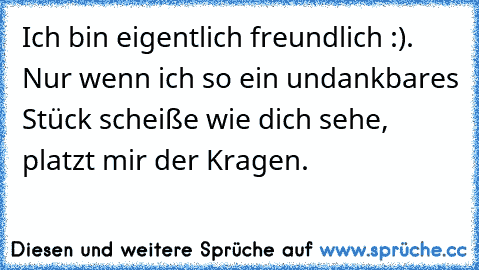 Ich bin eigentlich freundlich :). Nur wenn ich so ein undankbares Stück scheiße wie dich sehe, platzt mir der Kragen.