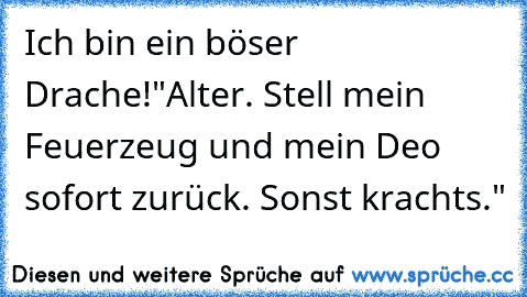 Ich bin ein böser Drache!
"Alter. Stell mein Feuerzeug und mein Deo sofort zurück. Sonst krachts."