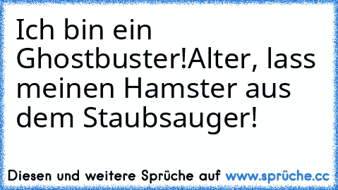 Ich bin ein Ghostbuster!
Alter, lass meinen Hamster aus dem Staubsauger!