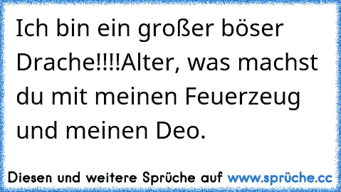 Ich bin ein großer böser Drache!!!!
Alter, was machst du mit meinen Feuerzeug und meinen Deo.