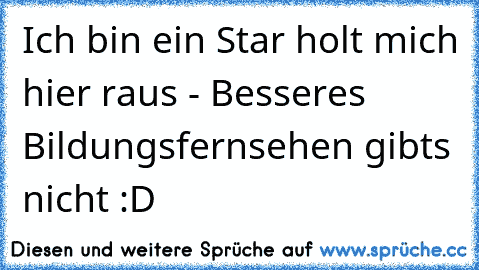 Ich bin ein Star holt mich hier raus - Besseres Bildungsfernsehen gibts nicht :D